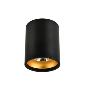 RT00117 Luz descendente montada en superficie de diseño interior
