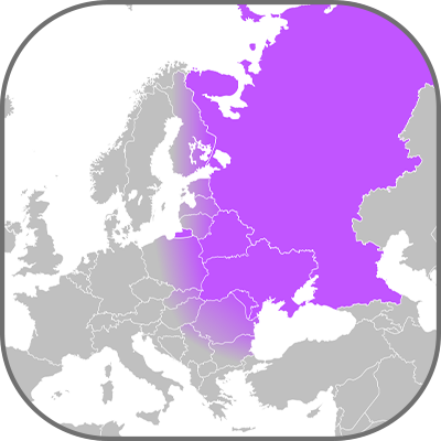 Mercado de iluminación del este de Europa